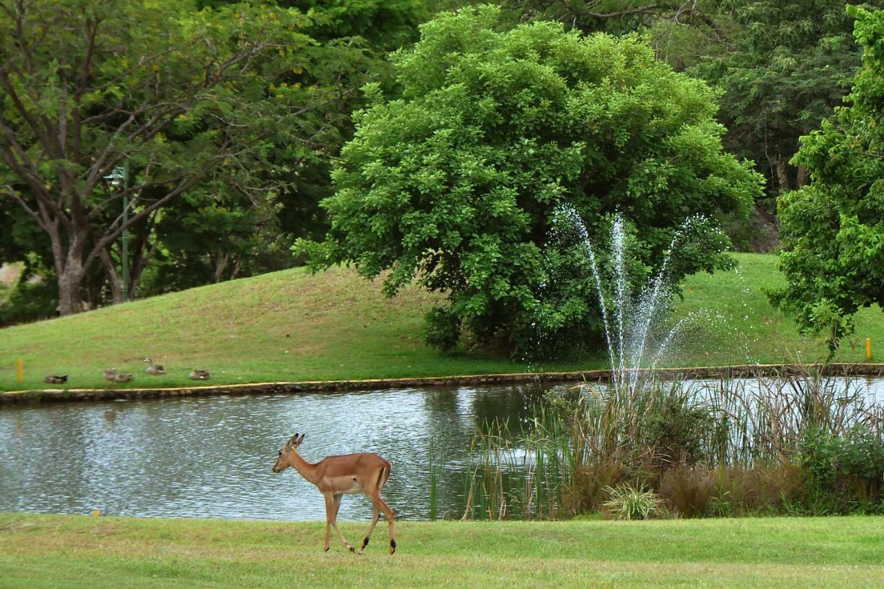 Kruger Park Lodge Unit No. 543 Hazyview Exterior foto